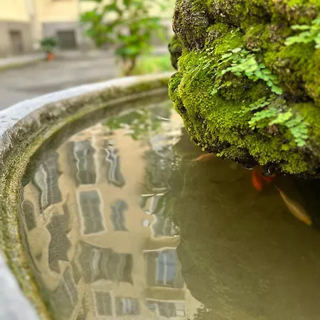 Appartement Casa Storica Anni '30: Da Fedro E Bianca *
