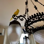 Casa Storica Anni '30: Da Fedro E Bianca Διαμέρισμα